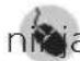 NINJA Double Stack SL300EU - REGISTER YOUR PURCHASE - 1