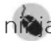 NINJA Double Stack SL300EU - ENREGISTREZ VOTRE ACHAT - 1