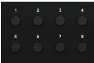 FOCUSRITE Scarlett 18i20 4th Gen - Boutons Select (1-8) - 1