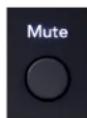 FOCUSRITE Scarlett 16i16 4th Gen - Bouton Mute - 1