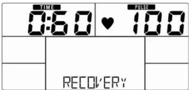 Skandika Vinneren E 590 - Recovery (Herzerholungsratenmessung) - 1