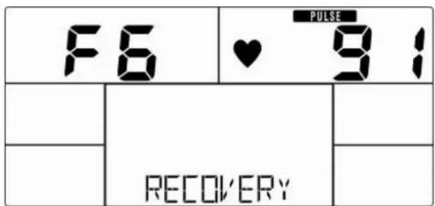 Skandika Vinneren E 590 - Recovery (Herzerholungsratenmessung) - 2