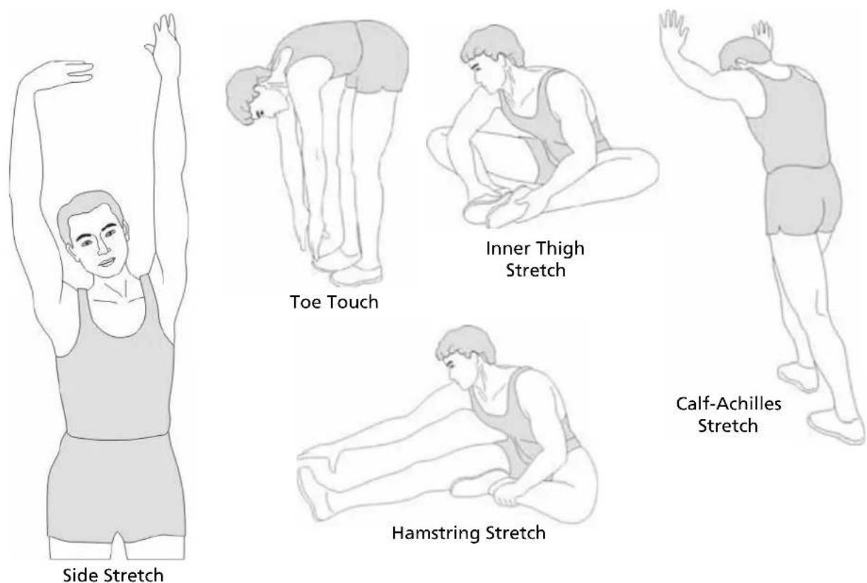 Skandika Vinneren E 590 - STRETCHING - 1