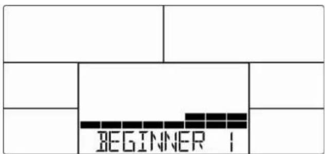 Skandika Vinneren E 590 - Beginner (Anfänger-) Modus - 1