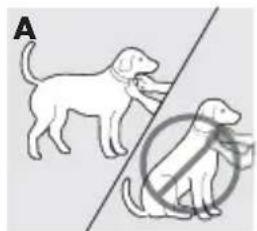 PETSAFE PBC17-14036 - Regolazione del collare antiabbaio - 1