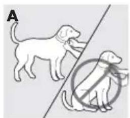 PETSAFE PBC17-14036 - Anlegen des Antibellhalsbandes - 1
