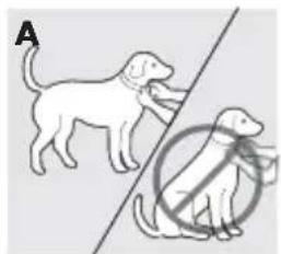 PETSAFE PBC17-14036 - Ajuste del collar antiladridos - 1