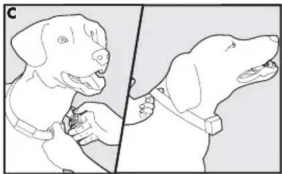 PETSAFE PBC17-14036 - ATTENZIONE - 2