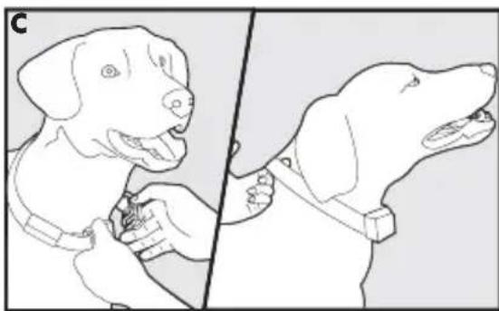 PETSAFE PBC17-14036 - Fit the Bark Control Collar - 3