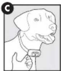 PETSAFE PBC17-16000 - Fitting the Bark Control Collar - 3