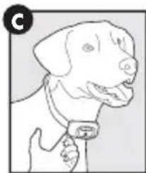 PETSAFE PBC17-16000 - Ajustar el collar antiladridos - 3