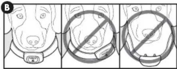 PETSAFE PBC17-16000 - Fitting the Bark Control Collar - 2