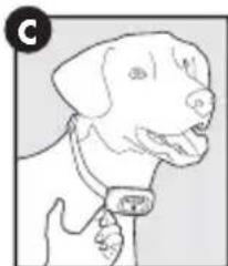 PETSAFE PBC17-16000 - De blafbeheersinghalsband omdoen - 3