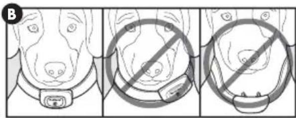PETSAFE PBC17-16000 - De blafbeheersinghalsband omdoen - 2