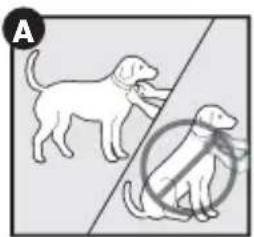 PETSAFE PBC17-16000 - Anpassen des Antibellhalsbandes - 1