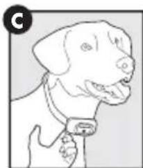 PETSAFE PBC17-16000 - Ajustement du collier anti-aboiements - 3