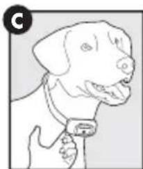 PETSAFE PBC17-16000 - Anpassen des Antibellhalsbandes - 3