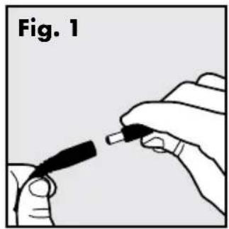 Fig. 1