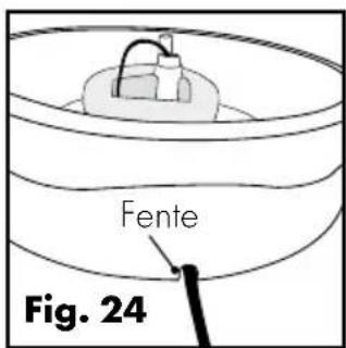 Fente Fig. 24