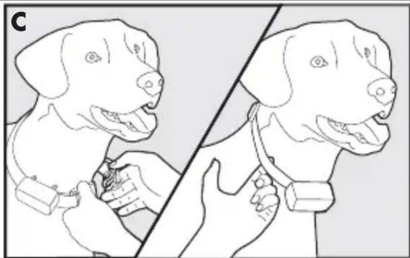 PETSAFE PBC17-13338 - ATTENZIONE - 1