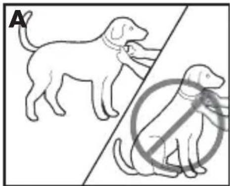PETSAFE PBC17-13338 - Antibellhalsband anpassen - 1