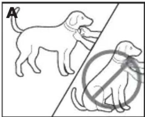 PETSAFE PBC17-13338 - Ajuste del collar antiladridos - 2