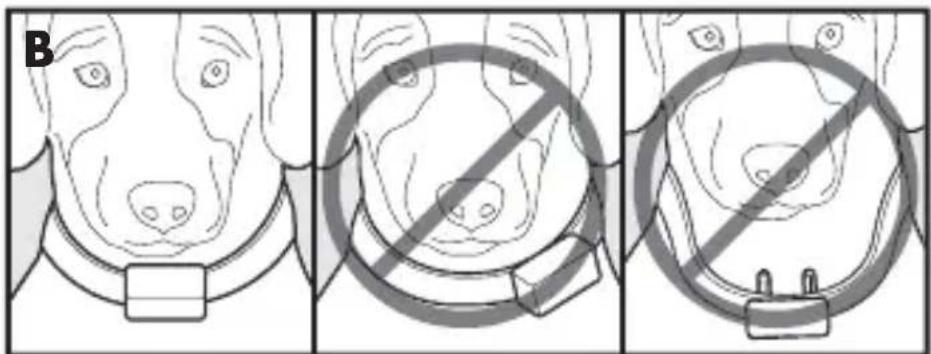 PETSAFE PBC17-13338 - Fit the Bark Control Collar - 2
