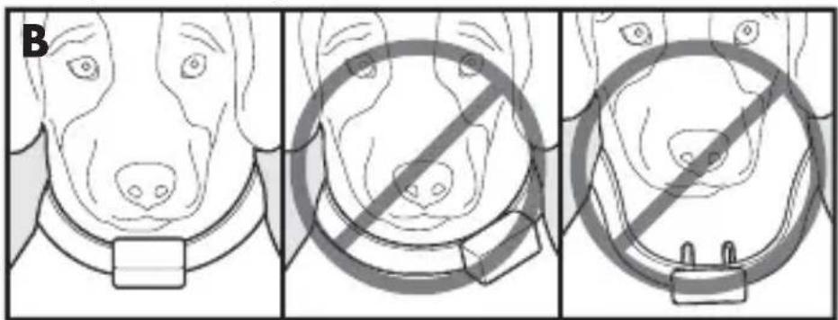 PETSAFE PBC17-13338 - ATTENZIONE - 1