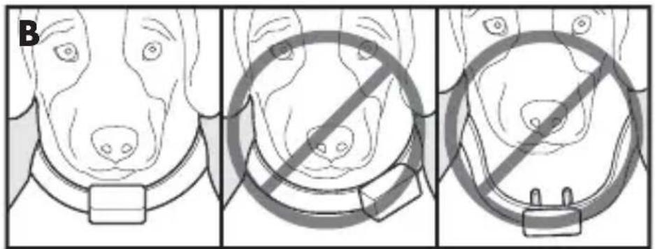 PETSAFE PBC17-13338 - De antiblafhalsband aanpassen - 2