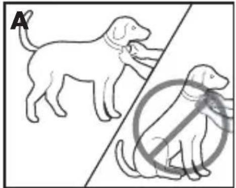 PETSAFE PBC17-13338 - De antiblafhalsband aanpassen - 1