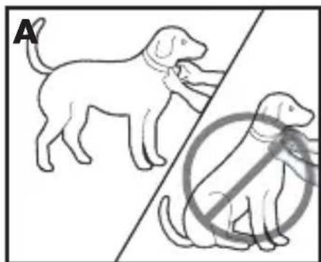 PETSAFE PBC17-13338 - Fare indossare il collare antiabbaio al cane - 1