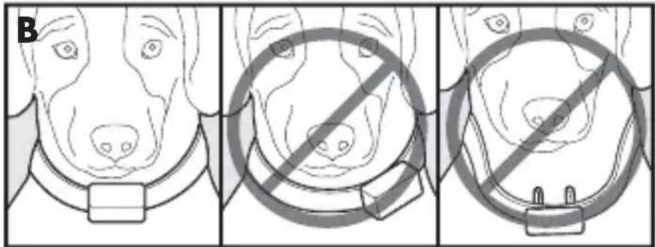PETSAFE PBC17-13338 - Ajuste del collar antiladridos - 1