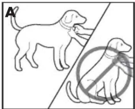 PETSAFE PBC17-13338 - Fit the Bark Control Collar - 1