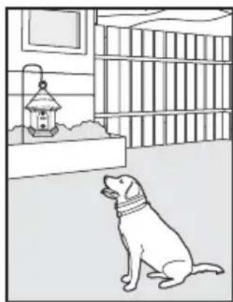 PETSAFE PBC17-13475 - CONSIGNES DE SÉCURITÉ IMPORTANTES - 7