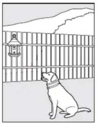 PETSAFE PBC17-13475 - Installazione e impostazione - 1