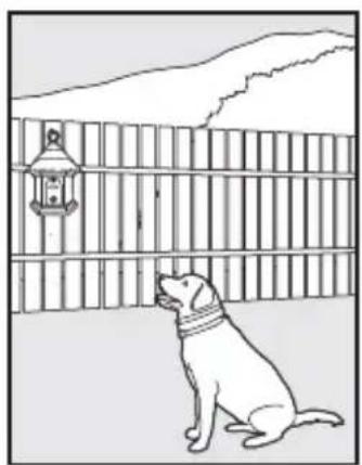PETSAFE PBC17-13475 - Installation and Setup - 1