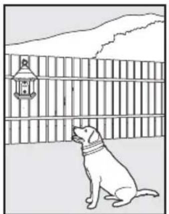 PETSAFE PBC17-13475 - Installation und Einrichtung - 1