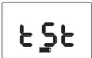 tSt