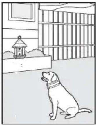 PETSAFE PBC17-13475 - CONSIGNES DE SÉCURITÉ IMPORTANTES - 1