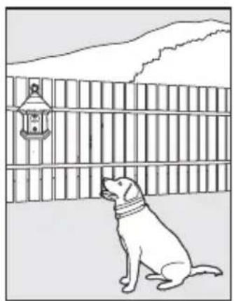 PETSAFE PBC17-13475 - Installatie en gereedmaken - 1