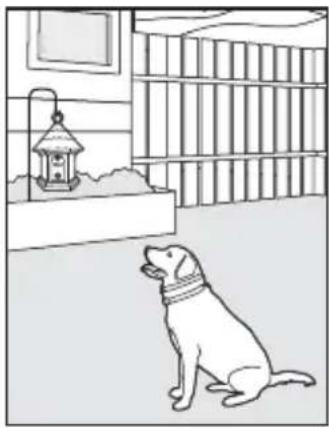 PETSAFE PBC17-13475 - CONSIGNES DE SÉCURITÉ IMPORTANTES - 2