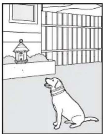 PETSAFE PBC17-13475 - CONSIGNES DE SÉCURITÉ IMPORTANTES - 6