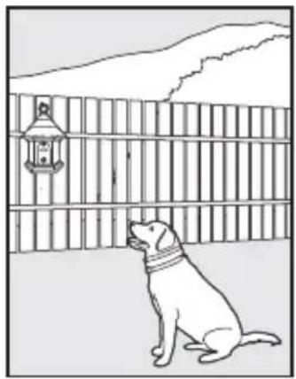 PETSAFE PBC17-13475 - Installation et configuration - 1