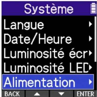 ZOOM H2 Essential - Indication du type des piles utilisées - 2