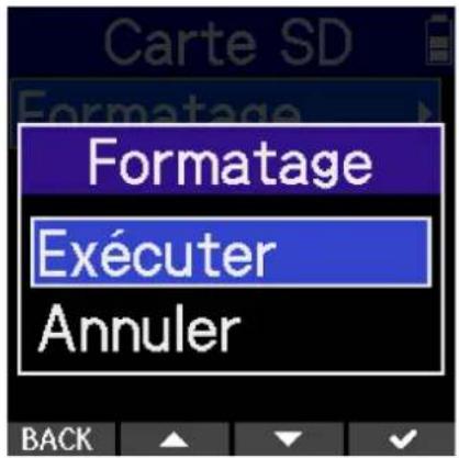 ZOOM H2 Essential - Formatage des cartes microSD - 3