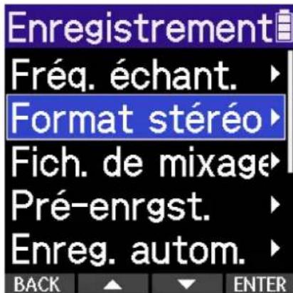 ZOOM H2 Essential - Enregistrement au format brut MS RAW - 2