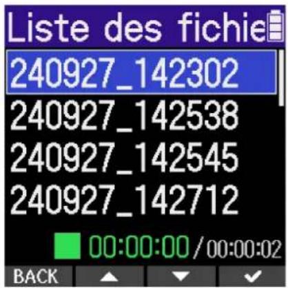 ZOOM H2 Essential - Sélection des fichiers à lire (écran Liste des fichiers) - 2