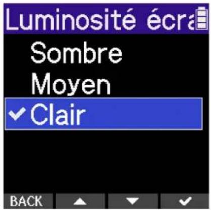 ZOOM H2 Essential - Réglage de la luminosité des LED - 2