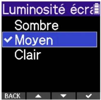 ZOOM H2 Essential - Réglage de la luminosité d'écran - 3