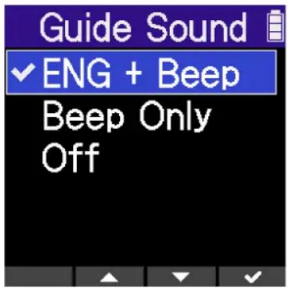 ZOOM H2 Essential - Réglage du guide sonore (première mise sous tension) - 1